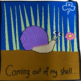 Coming out of my shell